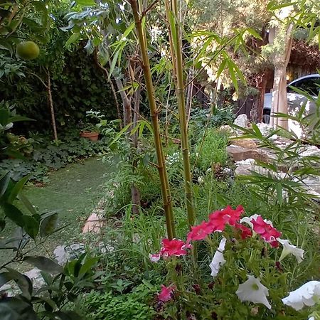 Apartamento Centrico En Villaviciosa de Odón エクステリア 写真